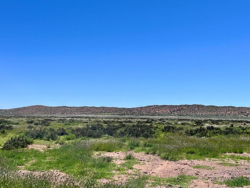 A fam for  sales in Klein Aub - Photo 9