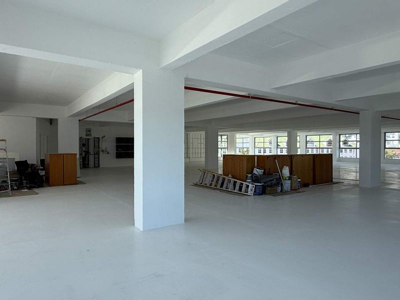 beautifully renovated entire 4th floor office to let in Gardens - Photo 6