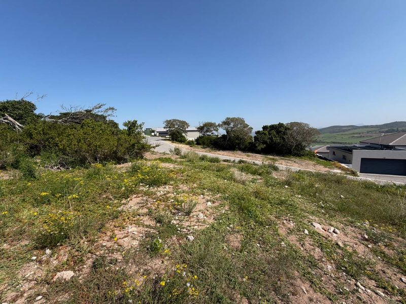 A view of a vacant residential plot featuring natural vegetation and access to a paved road in a developed neighborhood.