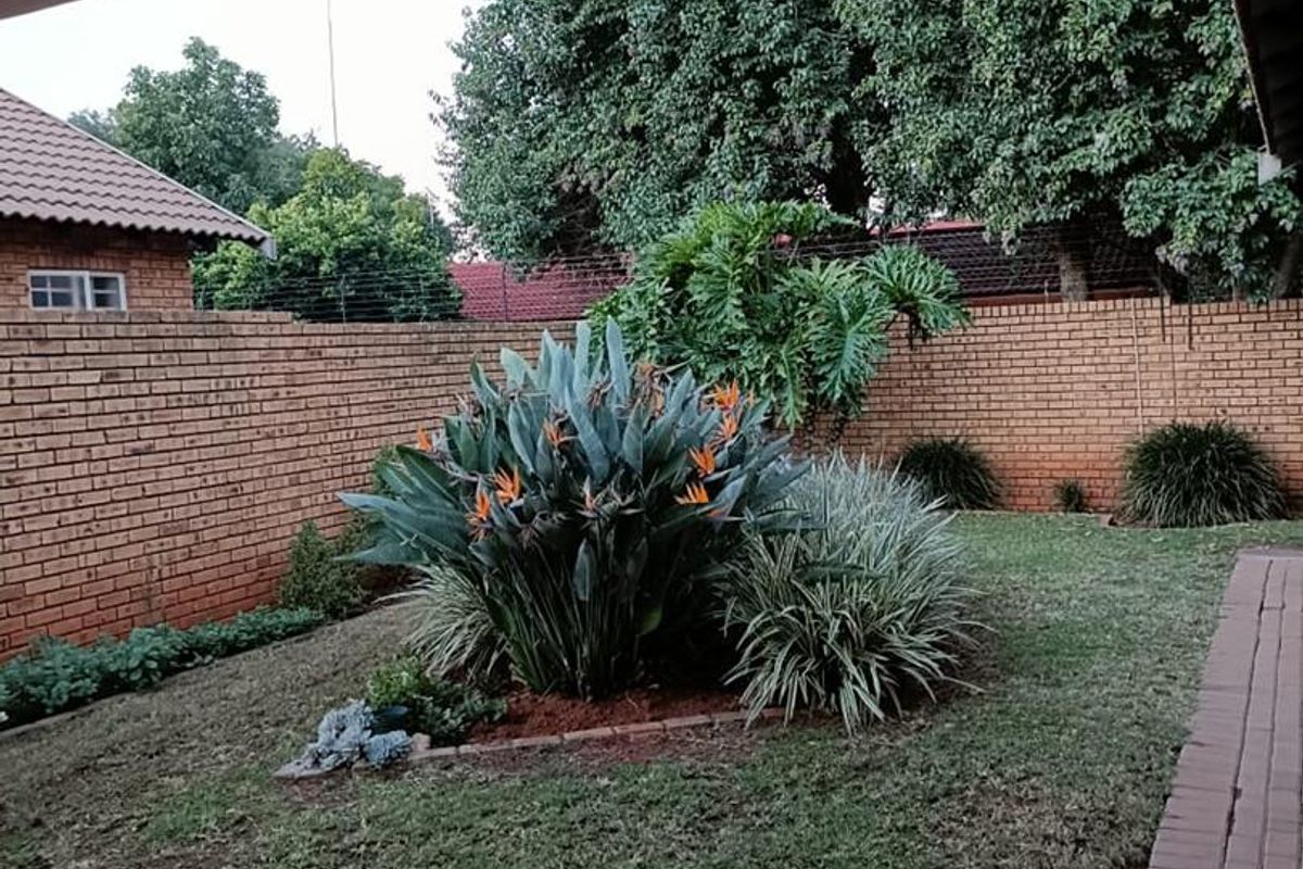A private rear garden featuring a paved patio area, established garden beds, and a secure brick boundary wall.