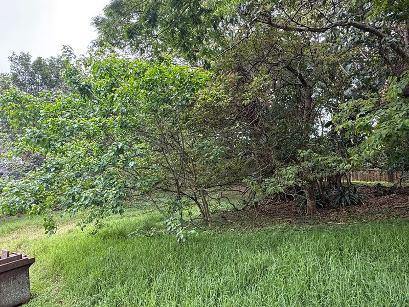 A view of a residential plot featuring established trees and a grass lawn area.