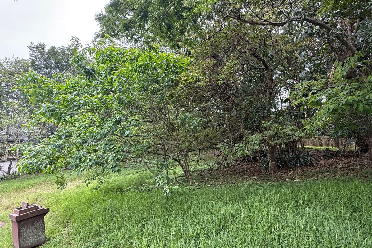 A view of a residential plot featuring established trees and a grass lawn area.