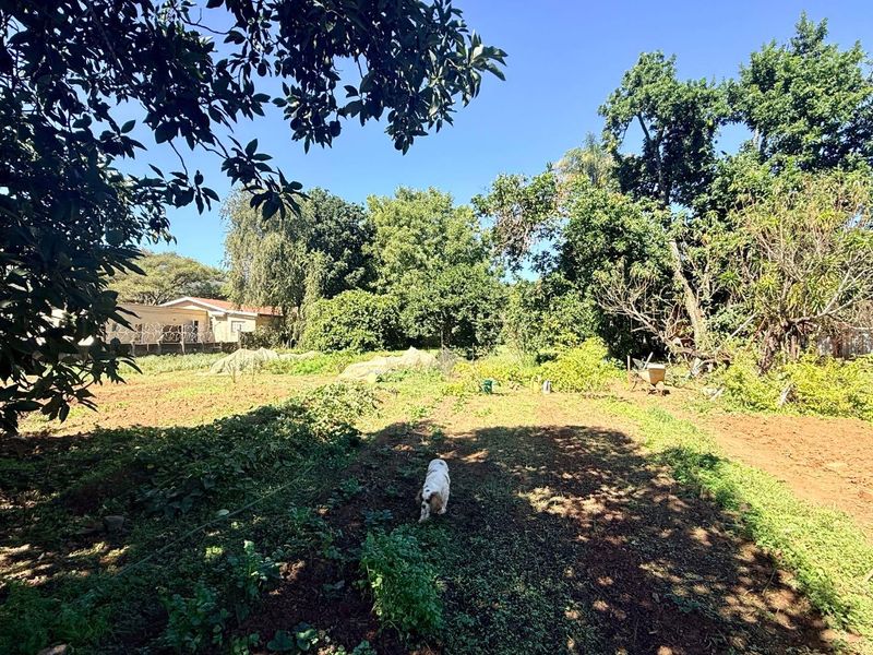 House for sale zoned Commercial in Paulpietersburg - Photo 9