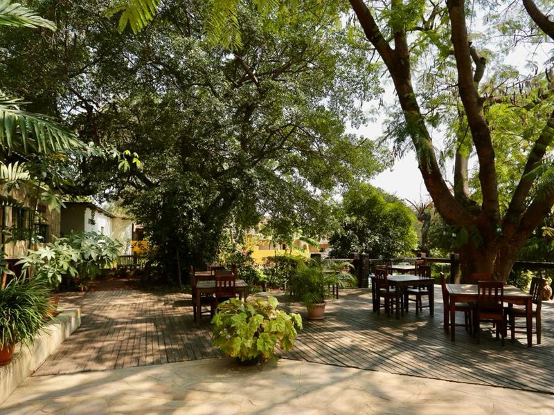 A spacious outdoor patio area featuring timber decking and stone paving, shaded by large mature trees, ideal for outdoor dining and relaxation.