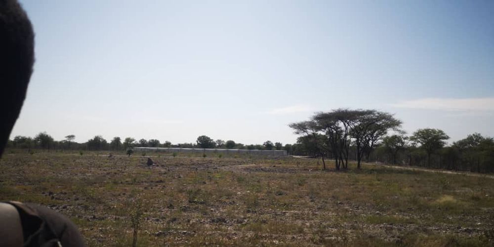 View with the greenhouse.