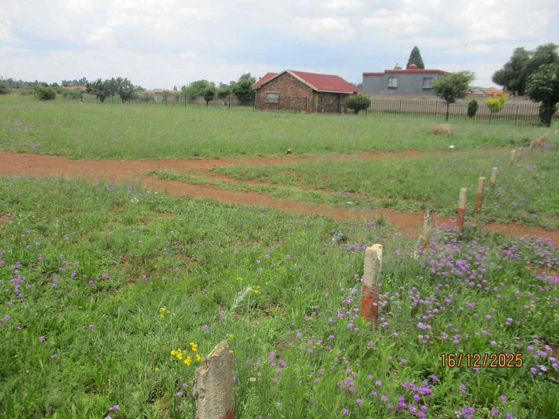 Enjoy the tranquility and peace of Henley - Photo 5