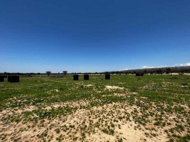 Immerse yourself in the charm of rural living – our stock farm invites you to embrace a life surrounded by nature, livestock, and the simple joys of the country - Photo 8