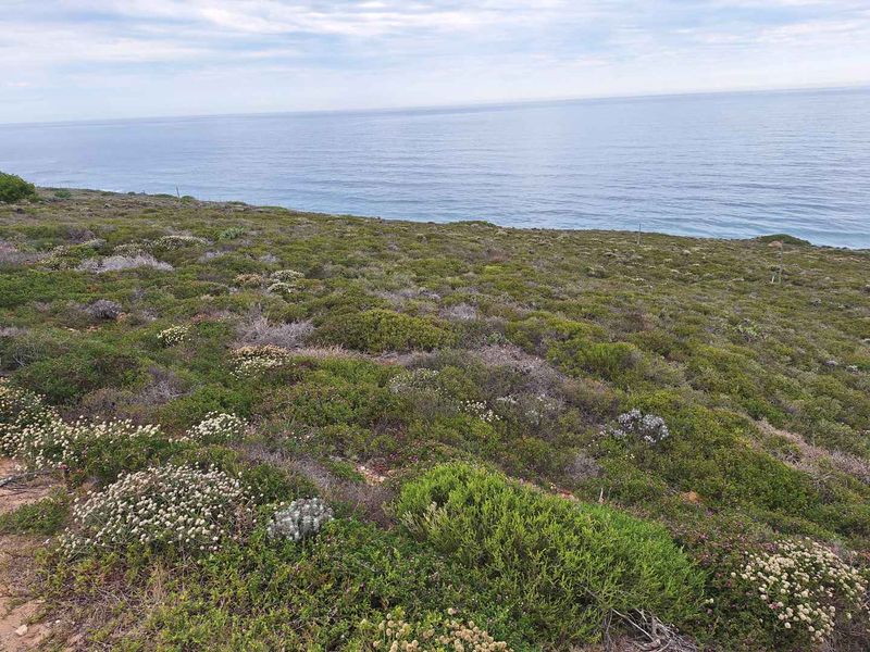 Stunning 3973m2 Vacant Land For Sale in Paradise Coast Eco Estate, Breaker Point - Photo 8