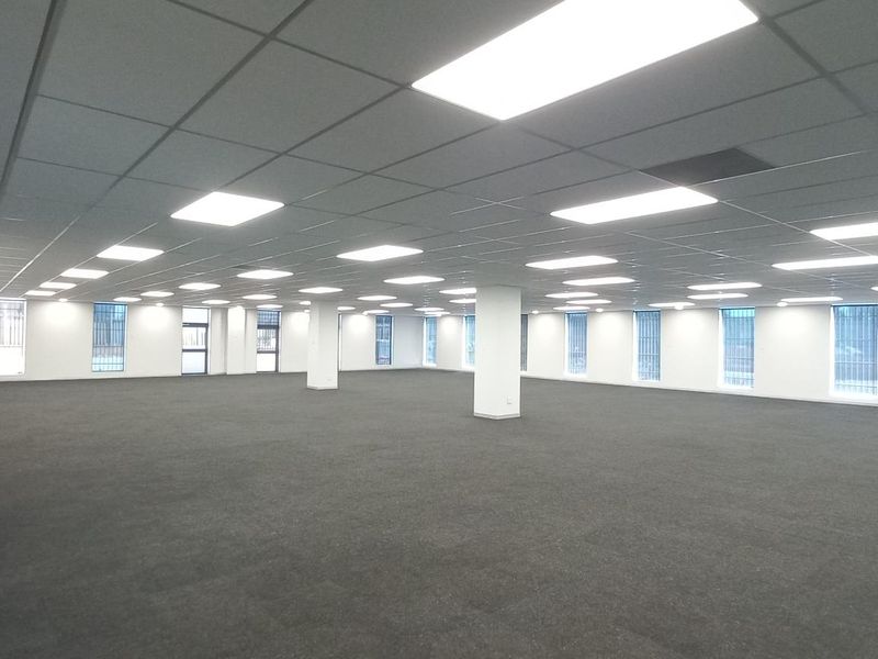 A spacious, open-plan office area featuring a suspended ceiling with recessed lighting, carpeted flooring, and multiple windows with security bars.