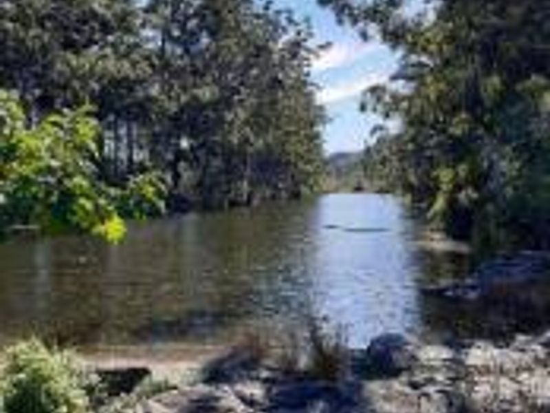 Forgotten Piece of Paradise! - Photo 9