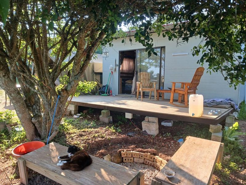 A raised timber deck patio area featuring a sliding glass door entrance, set within a natural garden environment.