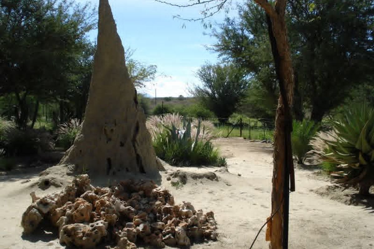 This smallholding is ideal for those seeking a blend of farming potential and a warm family lifestyle in the heart of Omaruru's natural beauty.✨️ - Photo 2