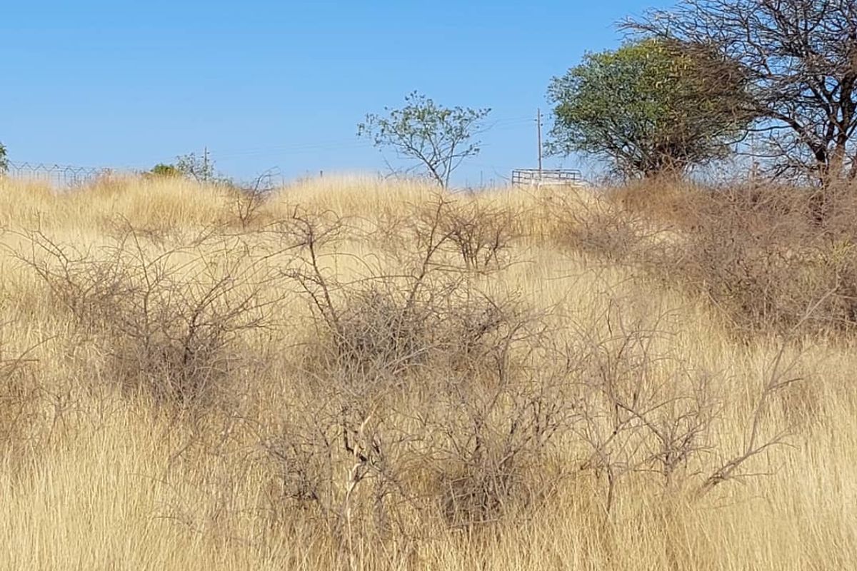 FOR SALE- VACANT COMMERCIAL LAND IN OUTJO, NAMIBIA - Photo 2