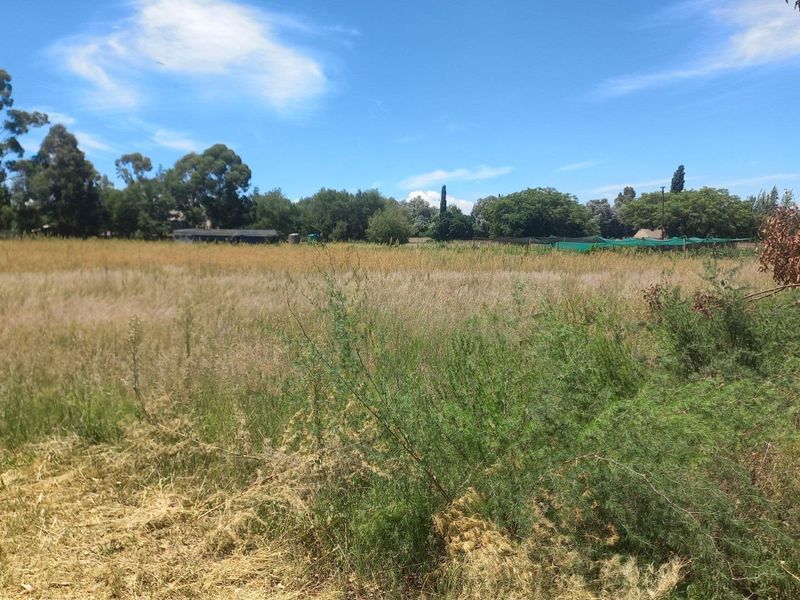 Build Your Dream Home/Business on Expansive Land in Walkerville - Photo 2