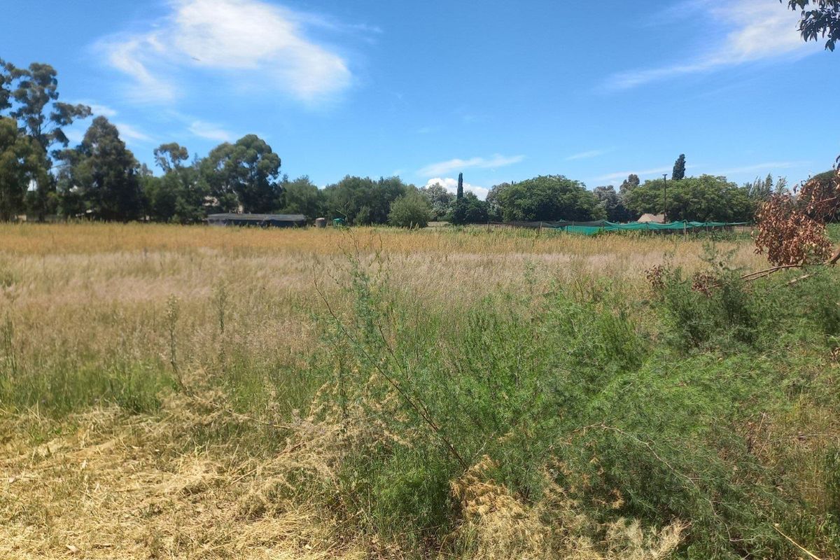Build Your Dream Home/Business on Expansive Land in Walkerville - Photo 2