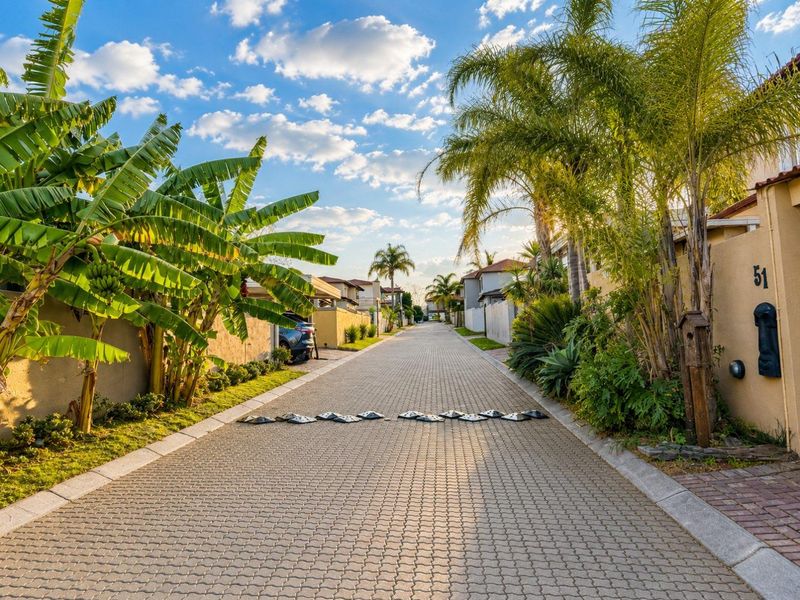 A well-maintained residential street view featuring paved driveway surfaces, speed bumps, and established perimeter landscaping with mature palm and banana trees.