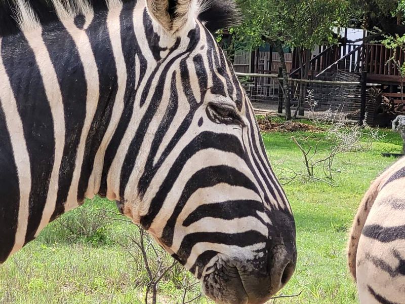 Leeupoort: Secure, Scenic, and Serene - 400m2 stand Awaits - Photo 2