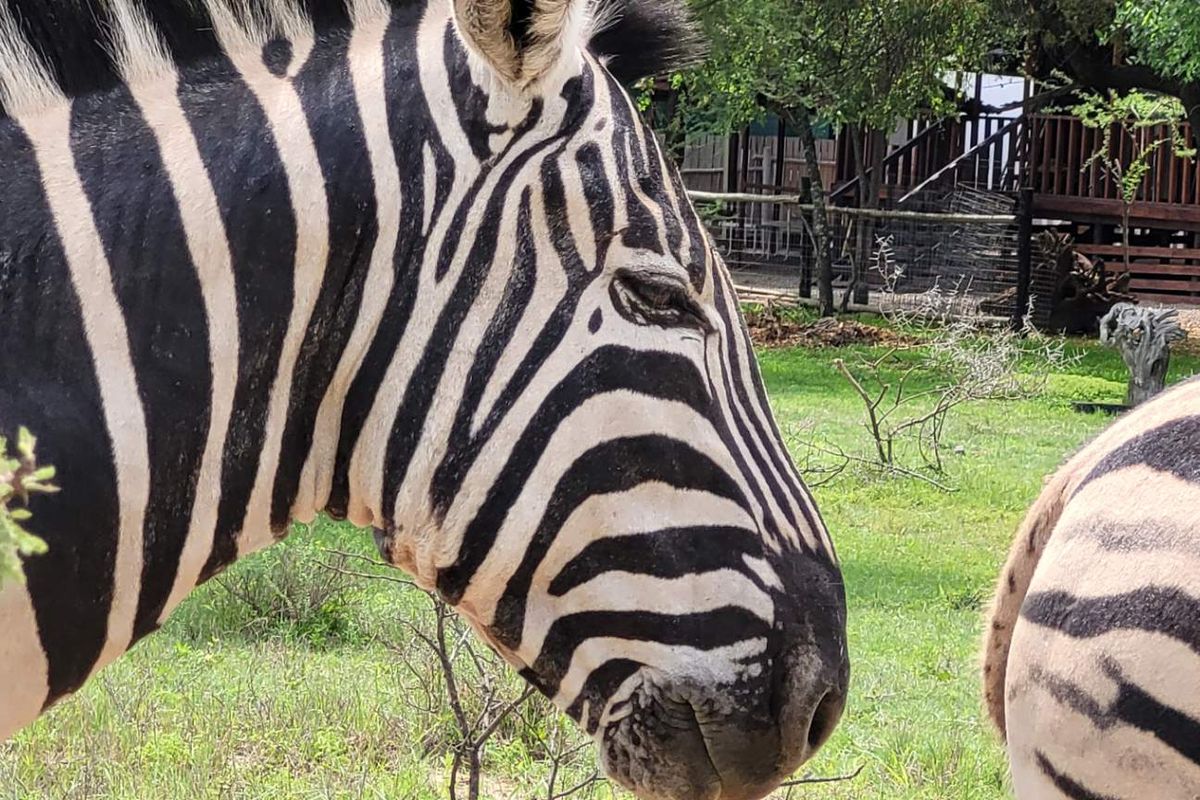 Leeupoort: Secure, Scenic, and Serene - 400m2 stand Awaits - Photo 2