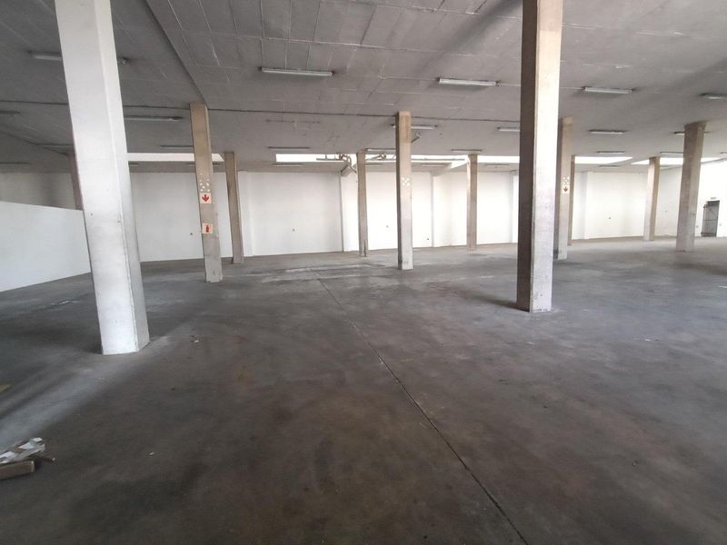 918m2 - Warehouse | New Germany - Photo 2