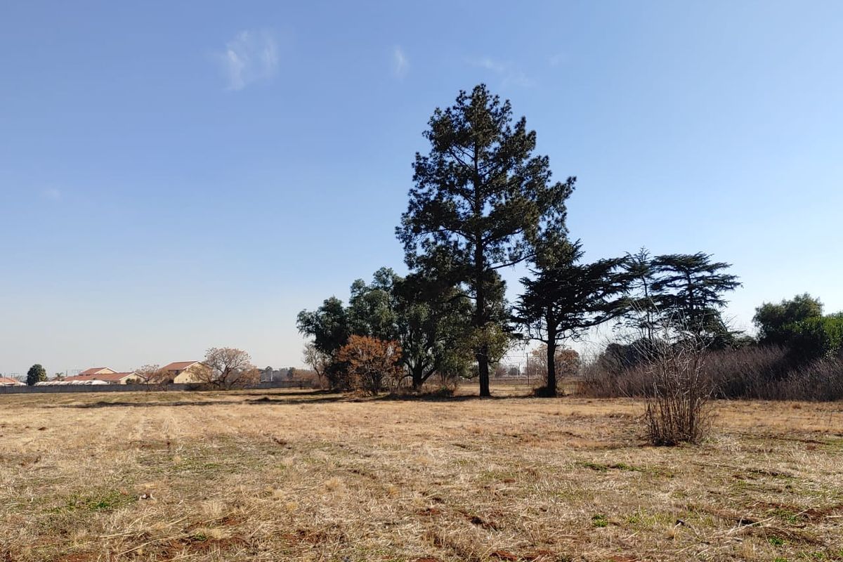 A view of a vacant commercial land plot featuring open grass fields and mature trees under a clear blue sky.