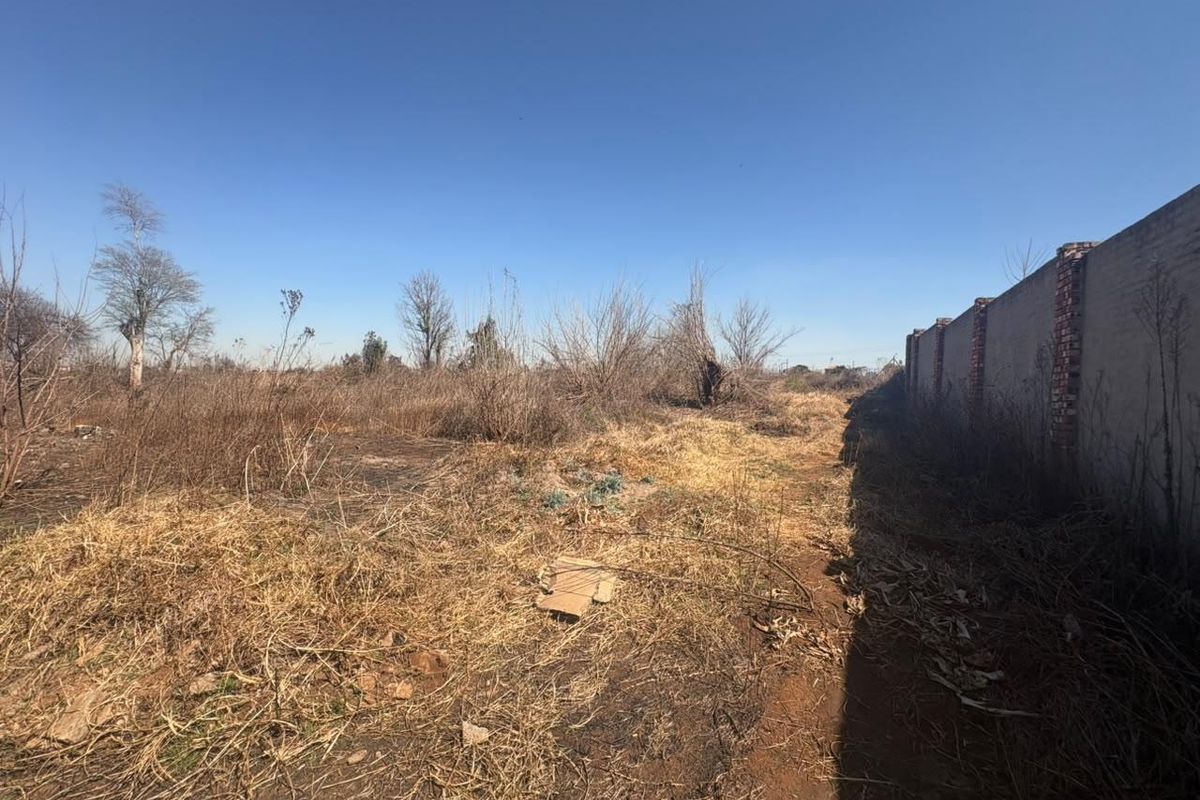 A view of a vacant residential plot featuring dry, overgrown vegetation and a long brick boundary wall along the side.