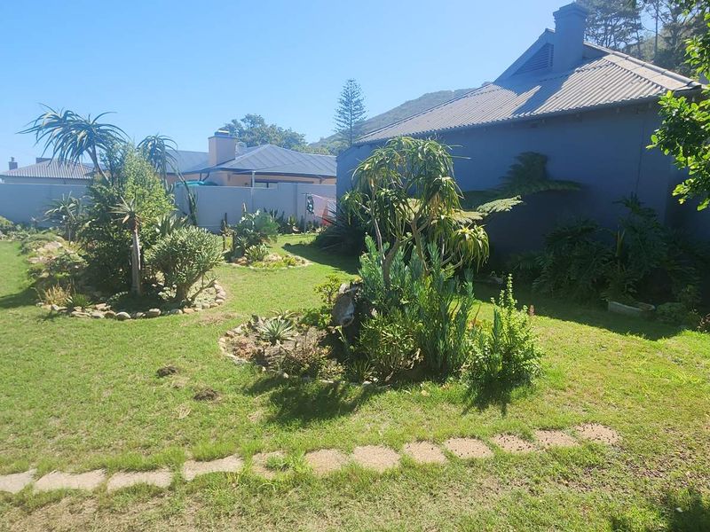 A beautiful setting with beautiful trees - Photo 10