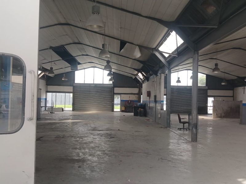 Prime Retail & Showroom Space To Let | 286–462 sqm | South Palms Centre - Photo 10