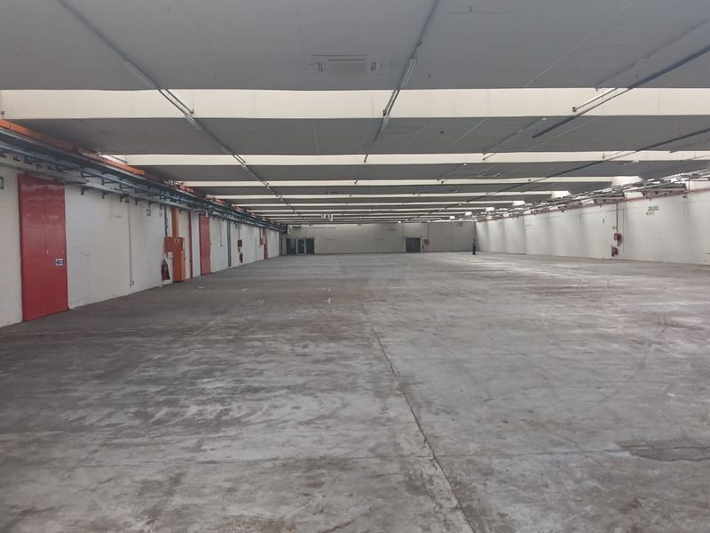 Expansive industrial warehouse space featuring concrete flooring, high ceilings with integrated lighting, and large sliding access doors, suitable for storage or manufacturing operations.