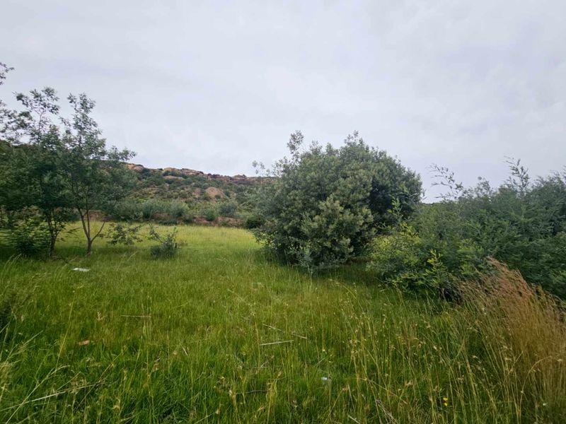 **Discover Your Future Home Site with Stunning Mountain Views** - Photo 4