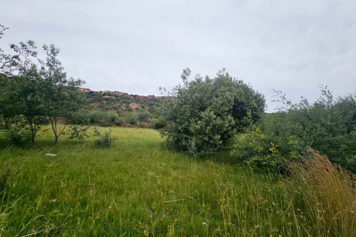 **Discover Your Future Home Site with Stunning Mountain Views** - Photo 4