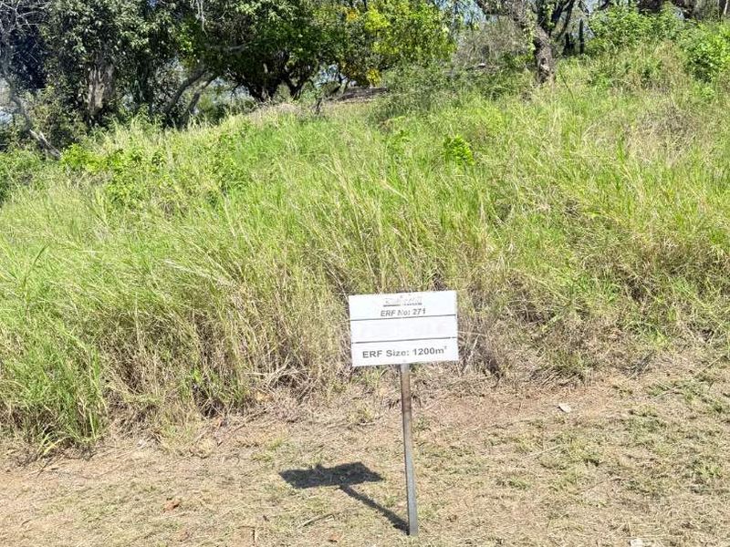 A vacant residential plot featuring natural grassland and mature trees, providing a blank canvas for future development.