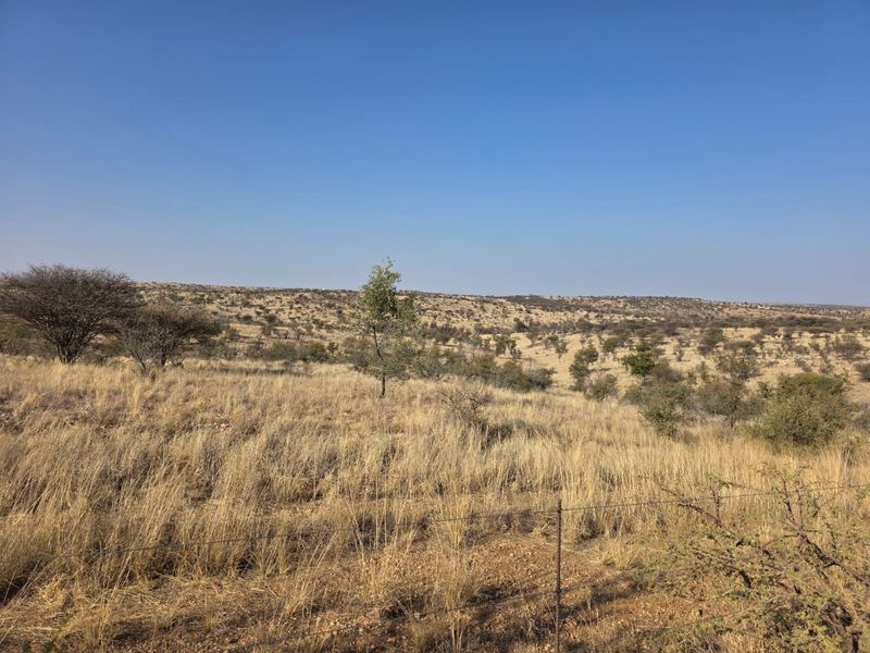 A wide-angle view of the natural landscape and open veld terrain on the small holding, featuring indigenous vegetation and a perimeter wire fence.