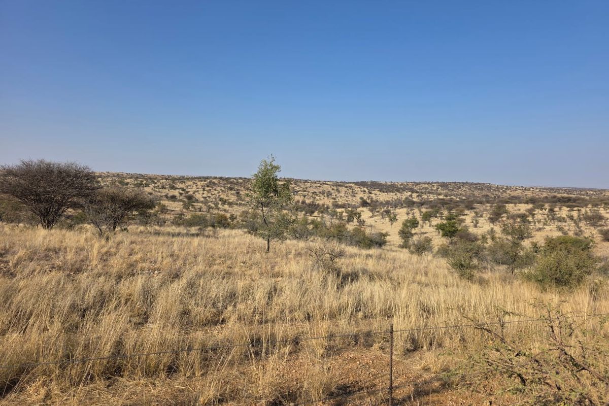 A wide-angle view of the natural landscape and open veld terrain on the small holding, featuring indigenous vegetation and a perimeter wire fence.