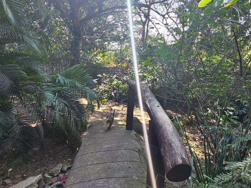 SPASCIOUS HOUSE - Photo 5