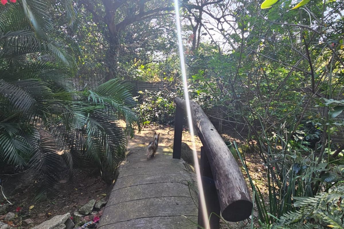 SPASCIOUS HOUSE - Photo 5