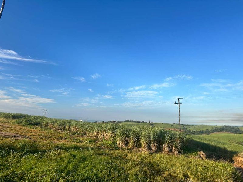 Farm for sale in Ballito Rural - Photo 4