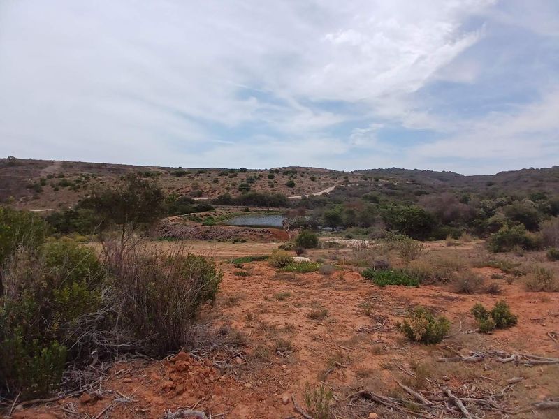 Exclusive 500m2 Stand with Dam Views in Outeniquasbosch Wildlife Estate - Photo 2