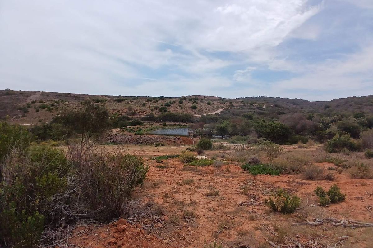 Exclusive 500m2 Stand with Dam Views in Outeniquasbosch Wildlife Estate - Photo 2