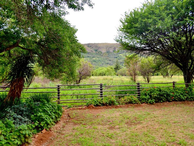 ***7ha Bushveld Property with Equestrian Facilities & Multiple Income Possibilities – Kameeldrift West | Under R3m*** - Photo 2