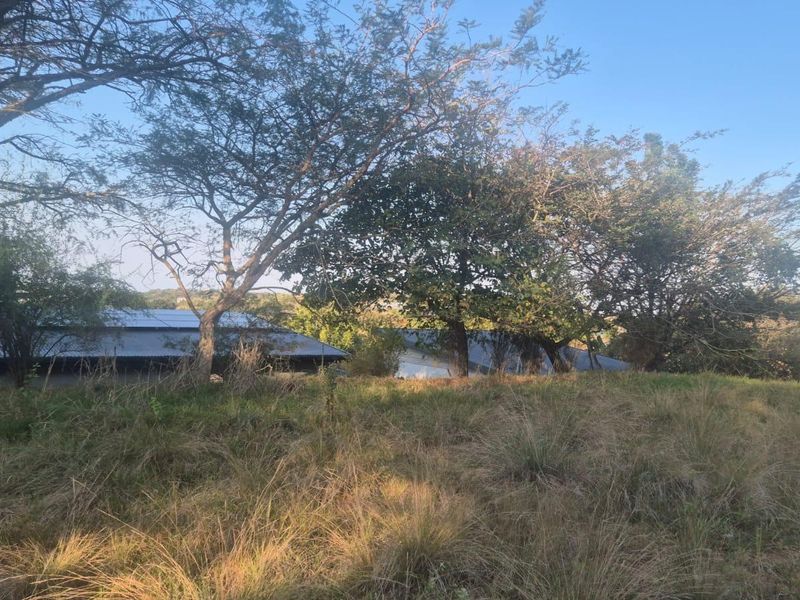 A view of the vacant residential land featuring established trees and natural grass coverage.