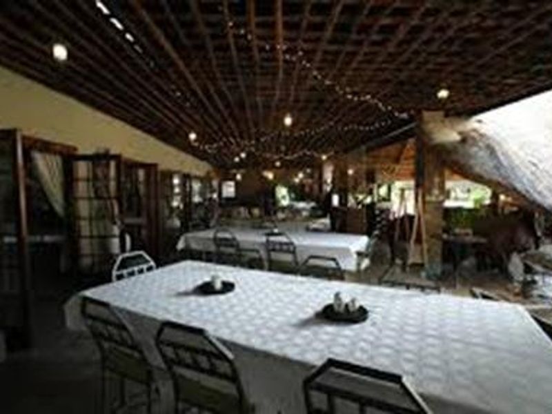 A spacious covered outdoor patio area featuring a unique timber lattice ceiling and a natural rock feature, ideal for large-scale outdoor dining and entertaining.
