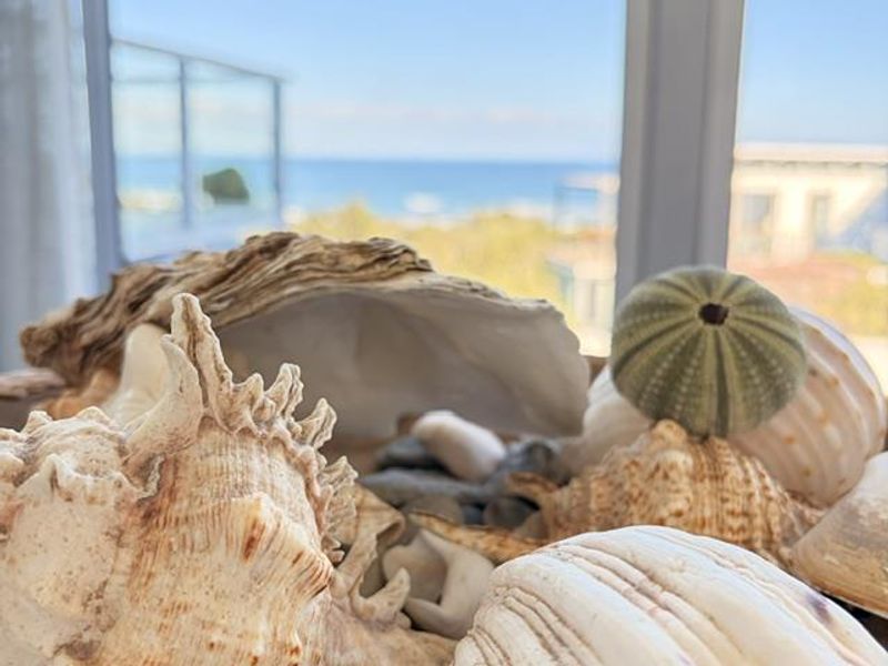 Prime Coastal Escape - Photo 7