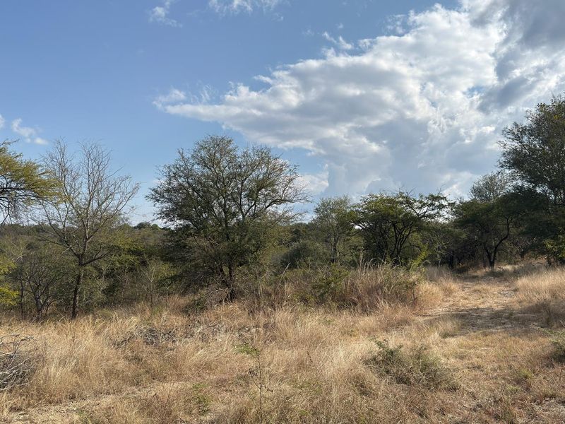 Boutique Farm in the Hoedspruit Area - Photo 8