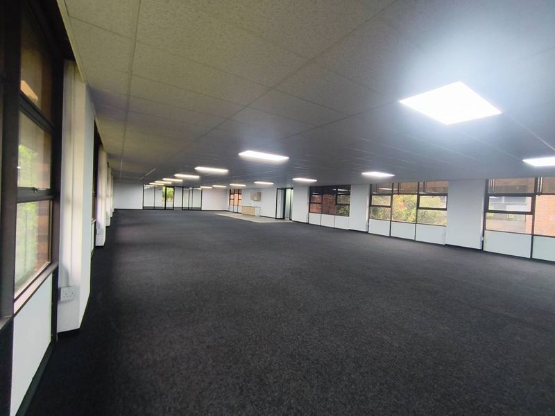 A spacious, open-plan office area featuring large windows, recessed lighting, and neutral carpeting, offering a versatile workspace ready for custom configuration.