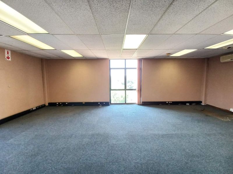 A spacious, empty office suite featuring a suspended acoustic ceiling with recessed lighting, wall-to-wall carpeting, and a large window providing natural light.