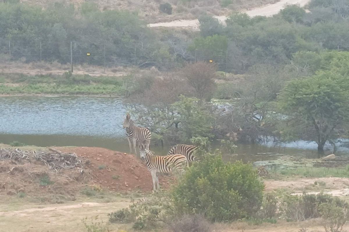 Exclusive 500m2 Stand with Dam Views in Outeniquasbosch Wildlife Estate - Photo 3