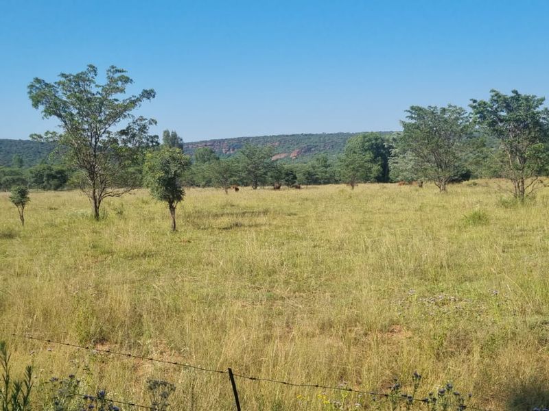 Vacant Land De Tweedespruit Cullinan - Photo 7