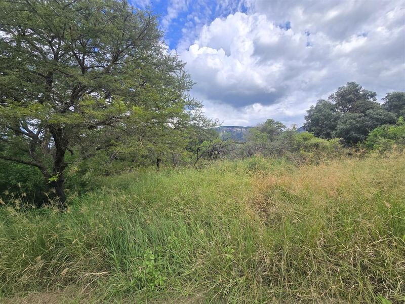 Spectacular Mountain Views & Exceptional Privacy - Photo 2