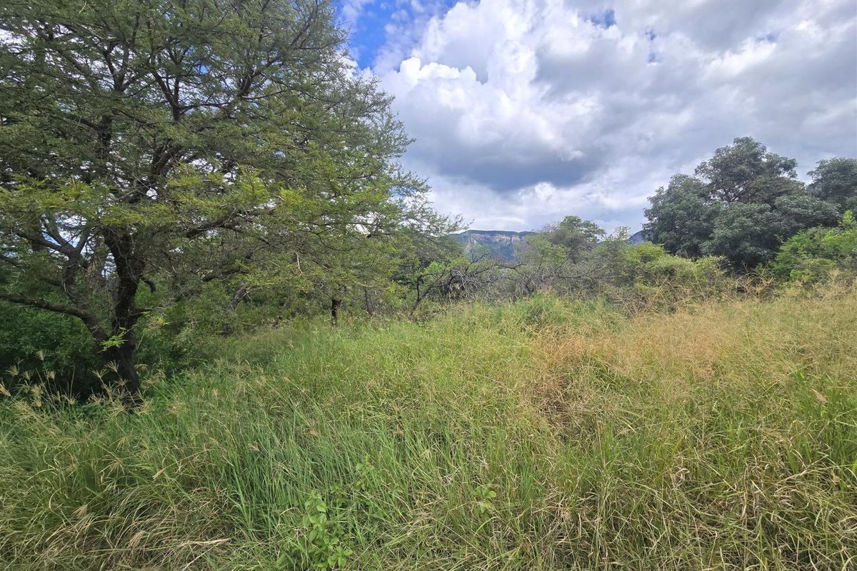 Spectacular Mountain Views & Exceptional Privacy - Photo 2