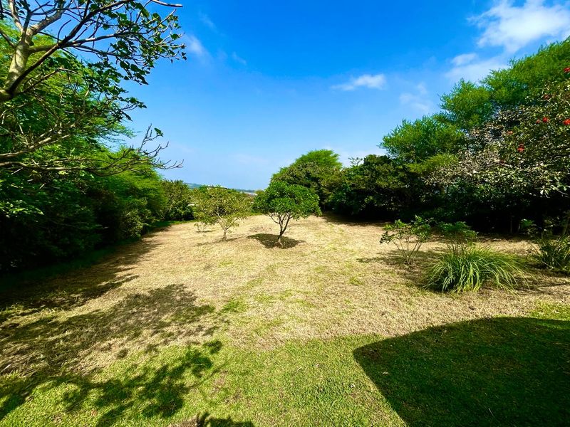 A spacious, well-maintained residential garden area featuring mature trees and established lawn, offering a peaceful outdoor setting.